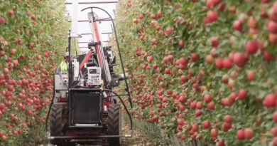Taylor Corp Apples